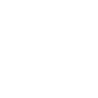 logo sebrae b